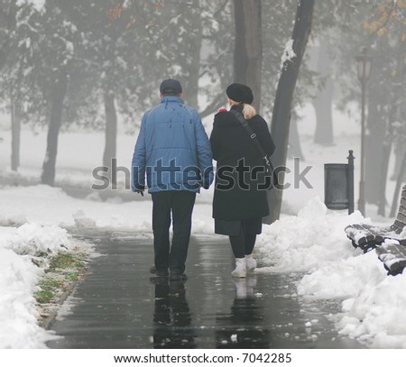 Senior couple walking at the park in fog,November