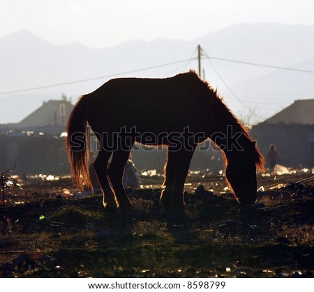 garbage silhouette