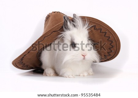 small cowboy hat