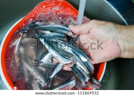 fish vendor cleaning fish