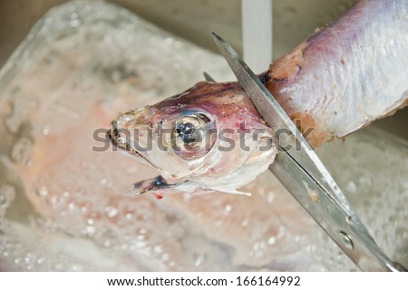 fish vendor cleaning fish