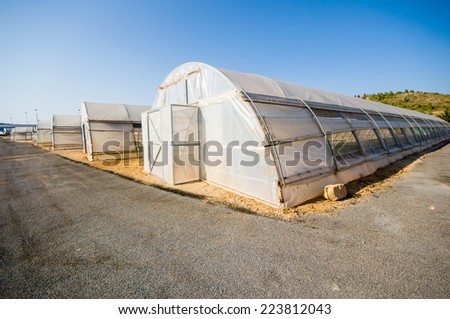 greenhouse in Valencia, Spain