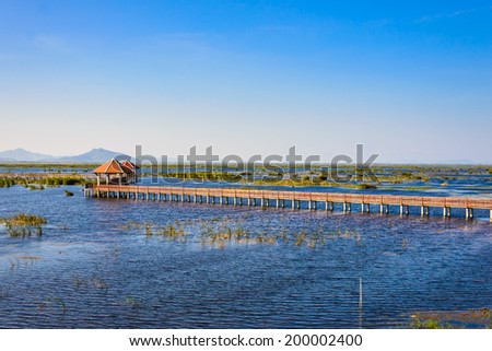 Wooden pavilion and wooden bridge in lotus lake at khao samroiyod national park, thailand