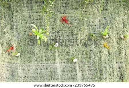Vertical garden decorated with small plant