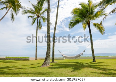 White Hammock  with palm trees