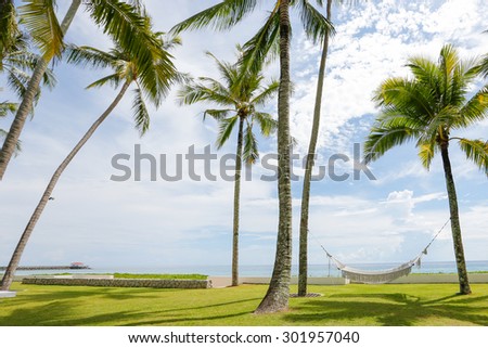 White Hammock  with palm trees