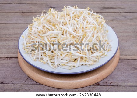 Bean Sprouts Bean Sprouts on White Background
