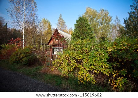 house in forest autumn