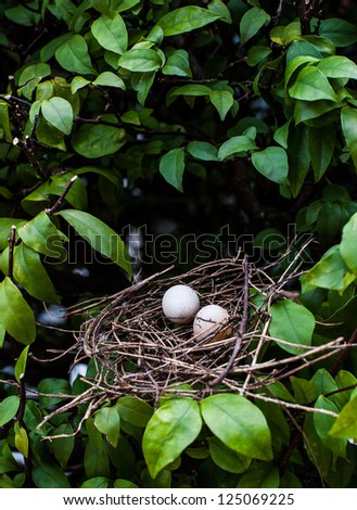 egg bird in bird net
