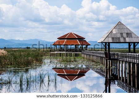 wood pavilion and wood bridge in swamp