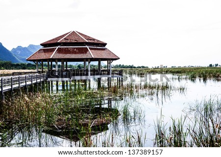 pavilion and wood bridge in swamp