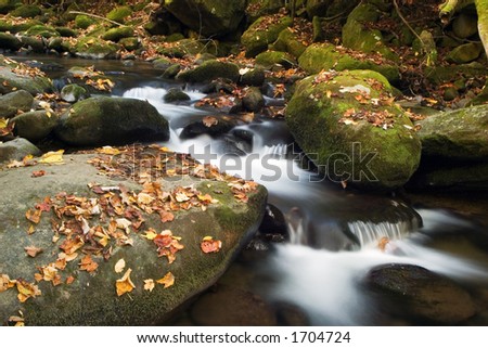 The Great Smoky Mountains roaring fork motor trail stream