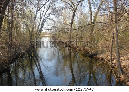 A picture of a quiet nature scene with trees in reflection in early spring