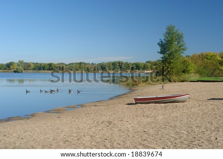 A picture of lake shore with waterfowl and small boat