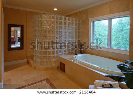 Master Bathrooms on Luxury Master Bathroom Stock Photo 2116404   Shutterstock