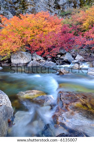 Colorful foliage at Cascade Loop in Washington State in Oct.