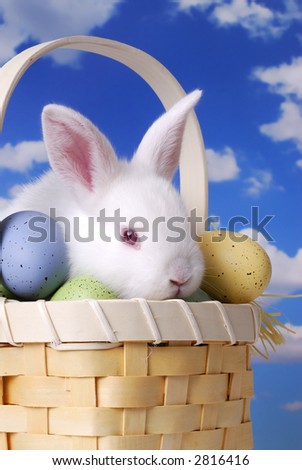 easter bunny pictures images. cute easter bunny pics. stock