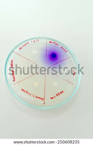 selective media for s.aureus in microbiology laboratory test
