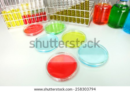 Colorful fluid in petridish and test tube for laboratory use on table laboratory