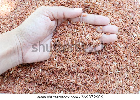 hand bring up red rice