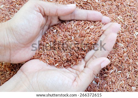 hand bring up red rice