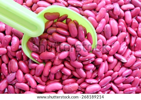 kidney bean in plastic spoon with kidney red background
