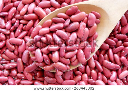 kidney bean in wooden spoon with kidney red background