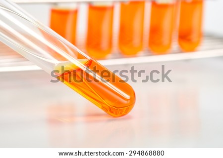 Colorful fluid in test tube for laboratory use on table in laboratory