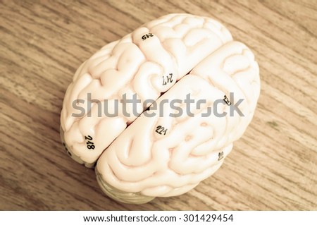 human brain with vintage style