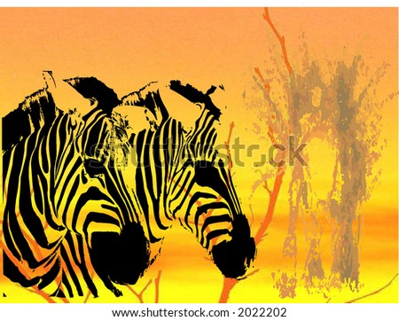 tattoos of zebra print. zebra print wallpaper rainbow.
