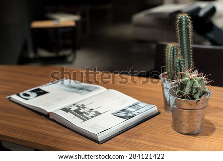 Two Cacti on Wooden Table next to Design Book