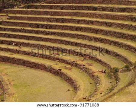 ancient inca agriculture