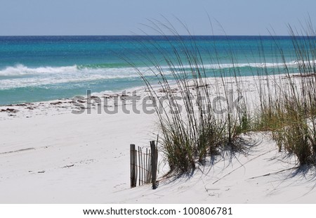 Pensacola Beach Sand Dunes