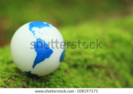 CLose up Moss and globe  in forest