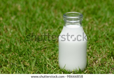 milk on green field  in  Morioka,  Iwate,  Touhoku, Japan