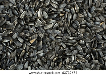 black seeds, sunflower seeds background