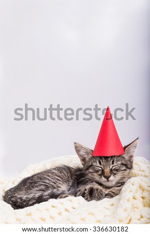 Christmas small grey kitten in red hat sleeps on the white cover