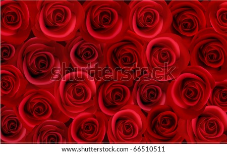Big Pictures Of Red Roses. Big bunch of red roses.