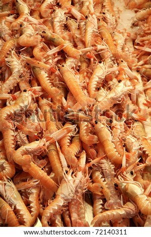 a lot of shrimps of different sizes in a market place