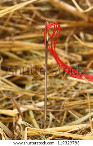 Needle in a Haystack