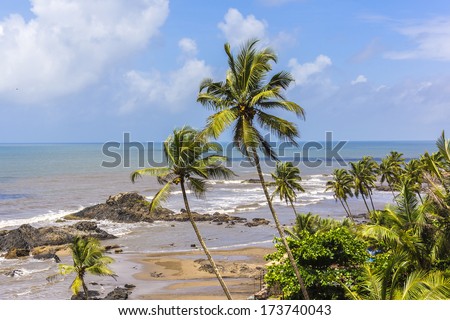 Beautiful tropical nature of Vagator Beach: palms, perfectly clear Arabian sea, golden sea beach, blue sky - one of busiest places and tourist attraction places of rest. Vagator Beach, Goa, India.