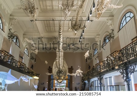MONACO - JULY 8, 2014: Interior of Oceanographic Museum in Monaco - museum of marine sciences. Oceanographic Museum is home to the Mediterranean Science Commission.
