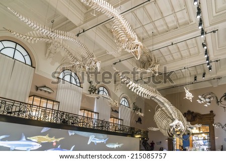 MONACO - JULY 8, 2014: Interior of Oceanographic Museum in Monaco - museum of marine sciences. Oceanographic Museum is home to the Mediterranean Science Commission.