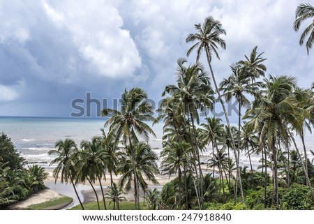 Nature of Vagator - wonderful red cliffs, palm trees, admirable Arabian Sea and golden sand. Vagator Beach - one of busiest places and tourist attraction places of rest. Bardez Taluka, Goa.