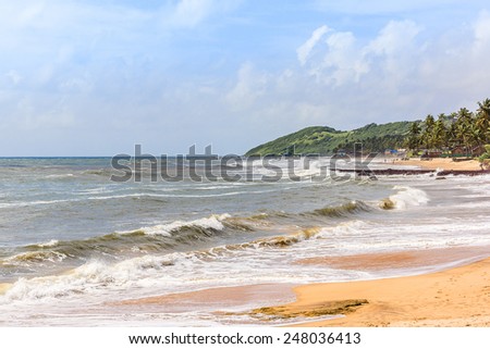 Nature of Goa - palm trees, admirable Arabian Sea, gentle sun and golden sand. Goa, India.