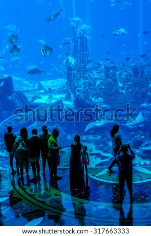 DUBAI, UAE - SEPTEMBER 7, 2015: A wide variety of fishes (more than 500 species fishes, sharks, corals and shellfish) in a huge aquarium in 5 stars Hotel Atlantis on man-made island of Palm Jumeirah.