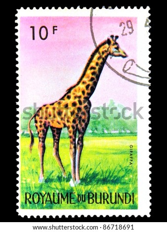BURUNDI - CIRCA 1964: stamp printed in Kingdom of Burundi shows an African animal - Giraffe with the inscription 