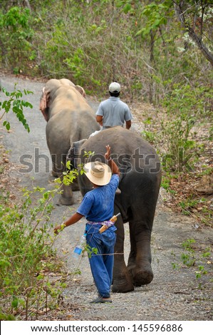 Mahout and his elephant were walking through the forest.