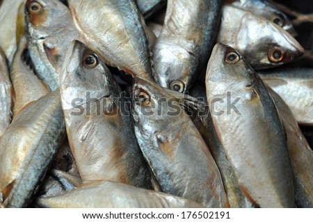 Mackerel fish used as food in Thailand is sold fresh Mackerel fish and steamed Mackerel fish.