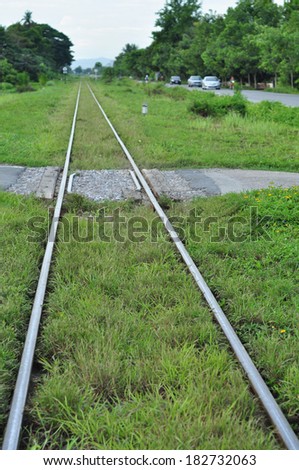 Railway tracks with grass covered up, but still can be used normally.